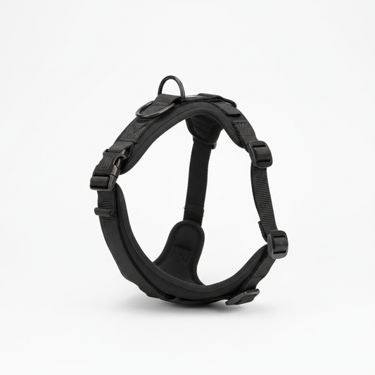 Harnais Anti-Traction PawMotion™ - fond blanc